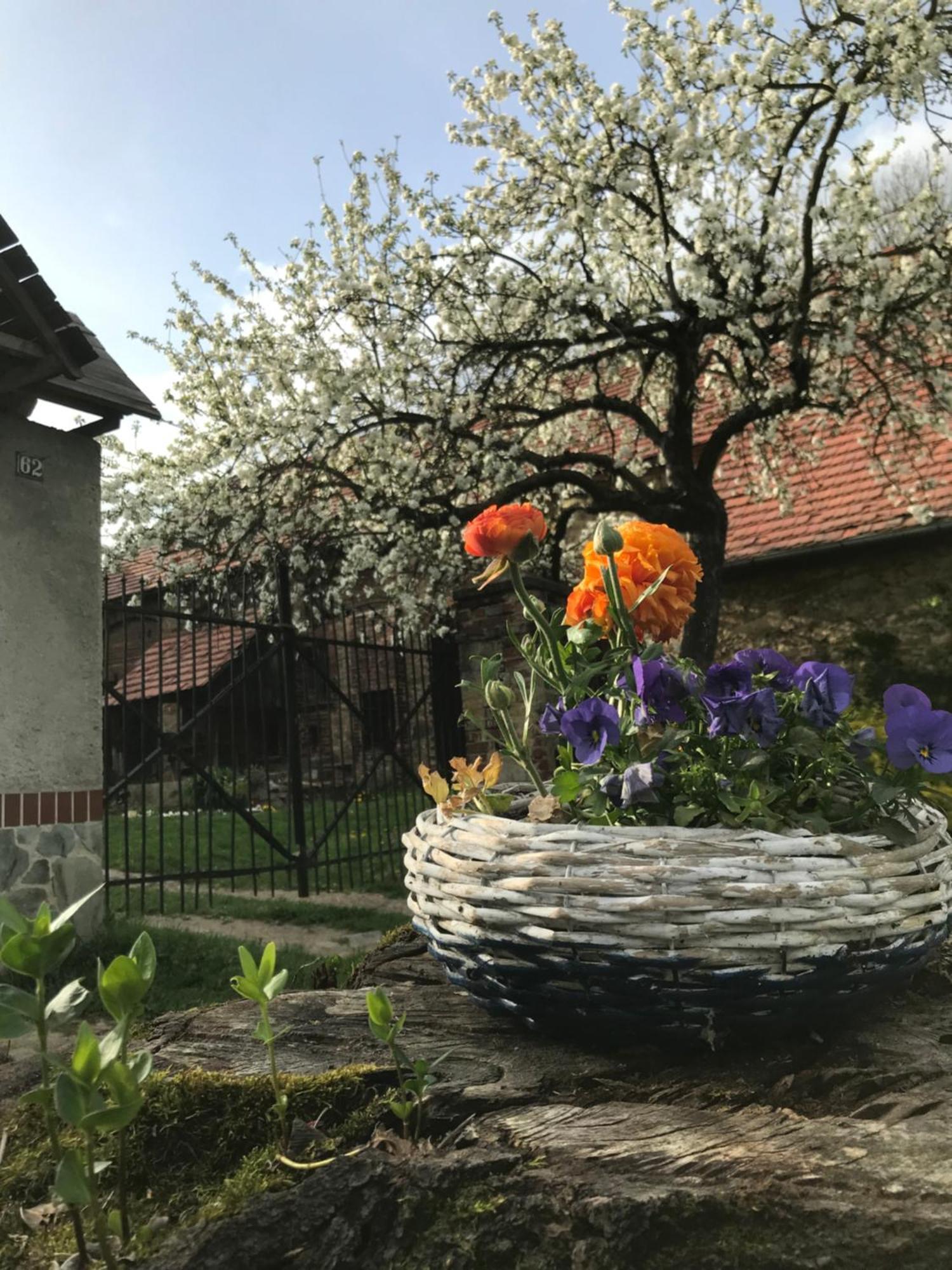 Dom Piwowara Hotel Leśna Exterior foto